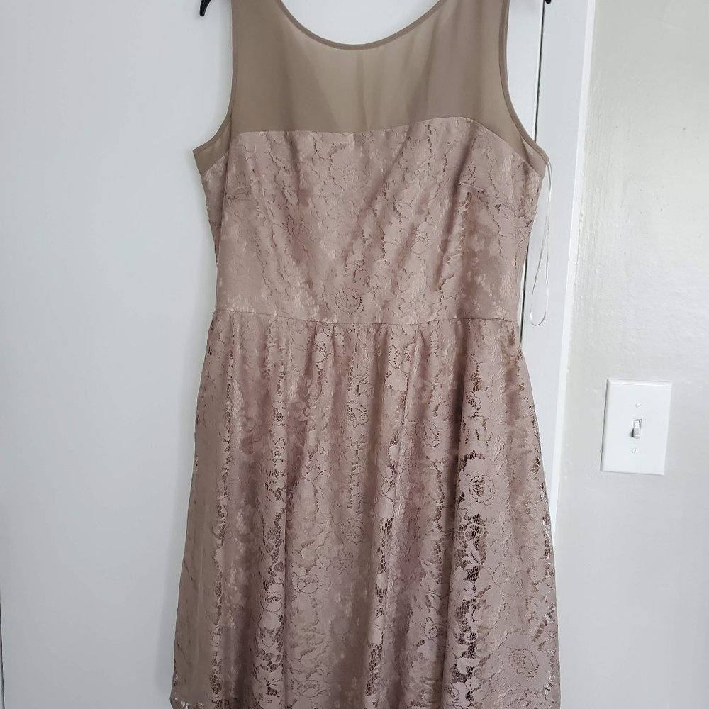 Beige Lace Dress